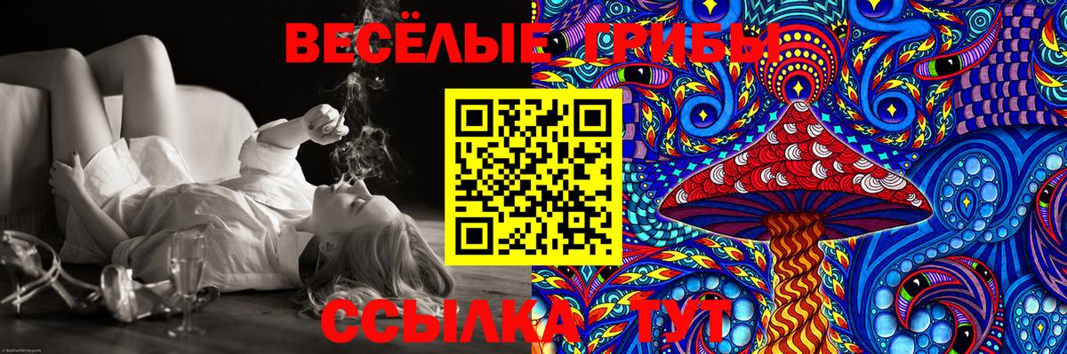 купить  цена  Вход с VPN  Бирск  Галлюциногенные грибы Cubensis  Галлюциногенные грибы Magic Shrooms 